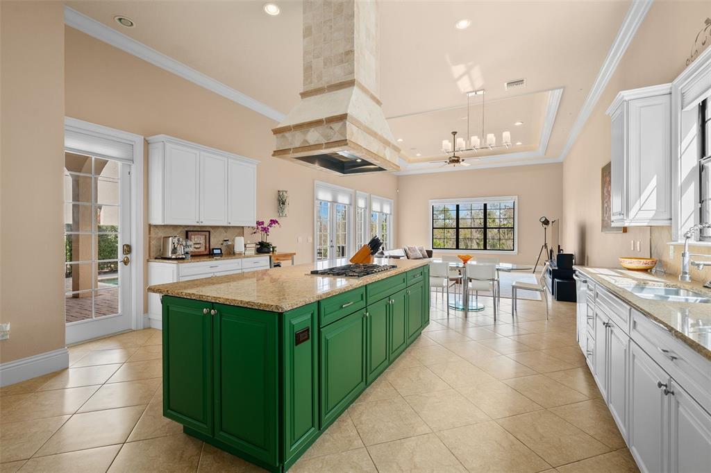 490 Muirfield Loop Reunion, FL 34747 - Photo 12 of 51