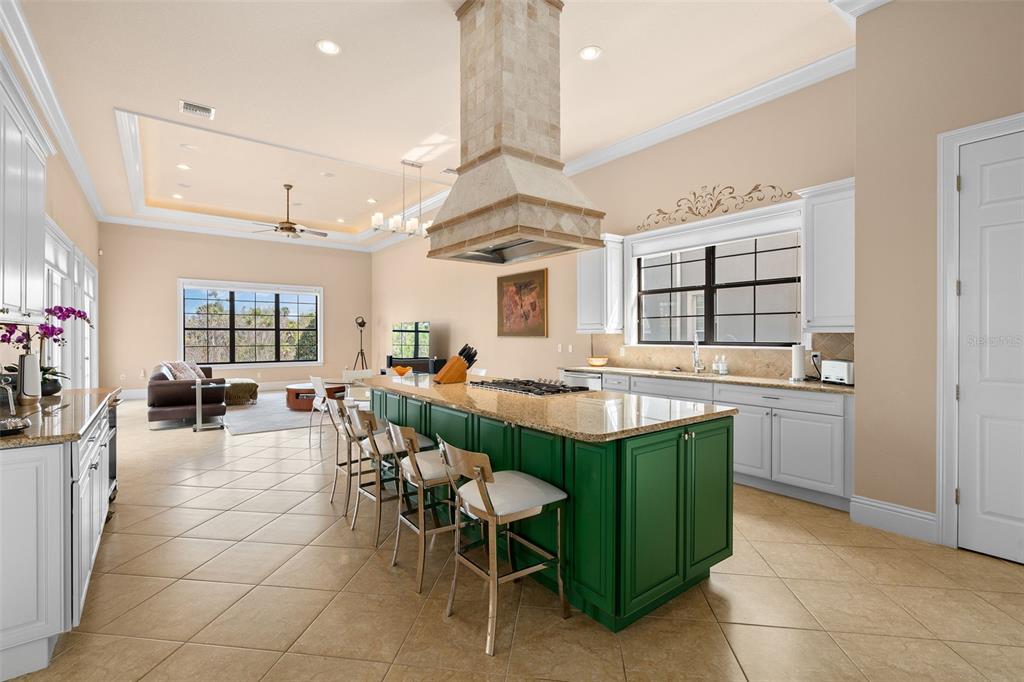 490 Muirfield Loop Reunion, FL 34747 - Photo 13 of 51