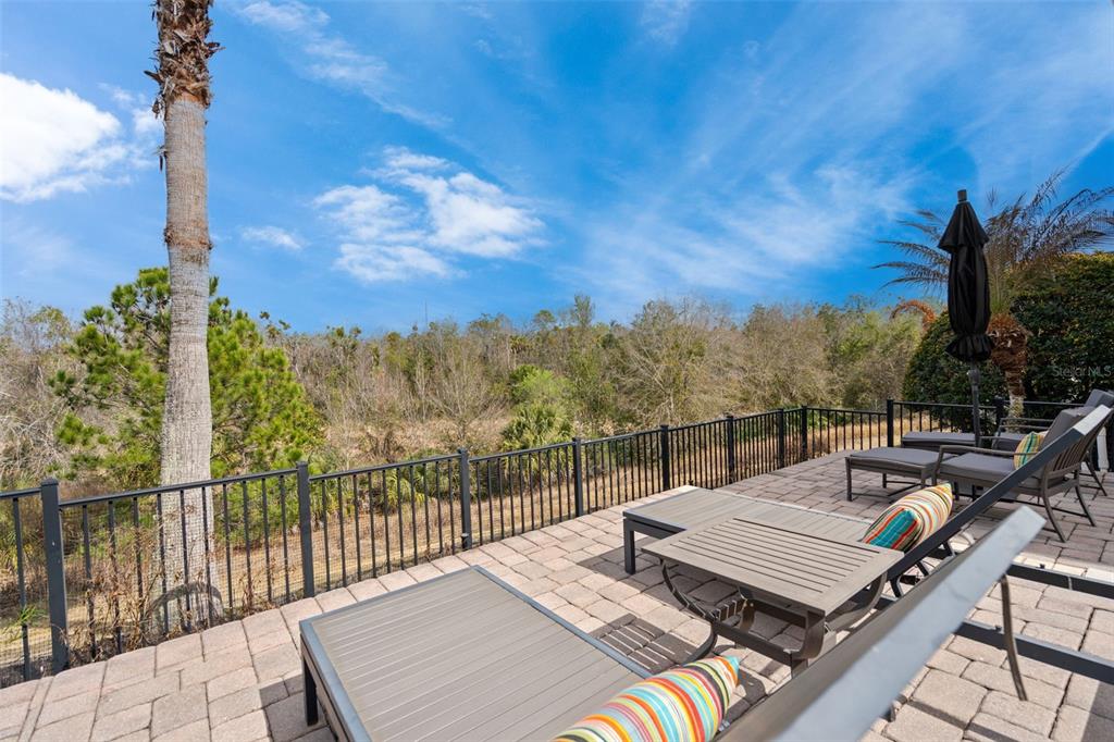 490 Muirfield Loop Reunion, FL 34747 - Photo 47 of 51