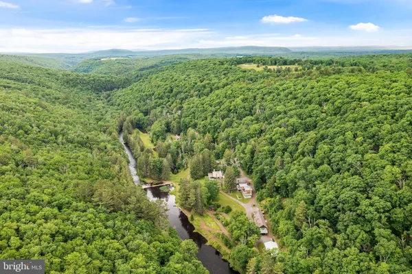 a view of a lush green forest with lots of trees