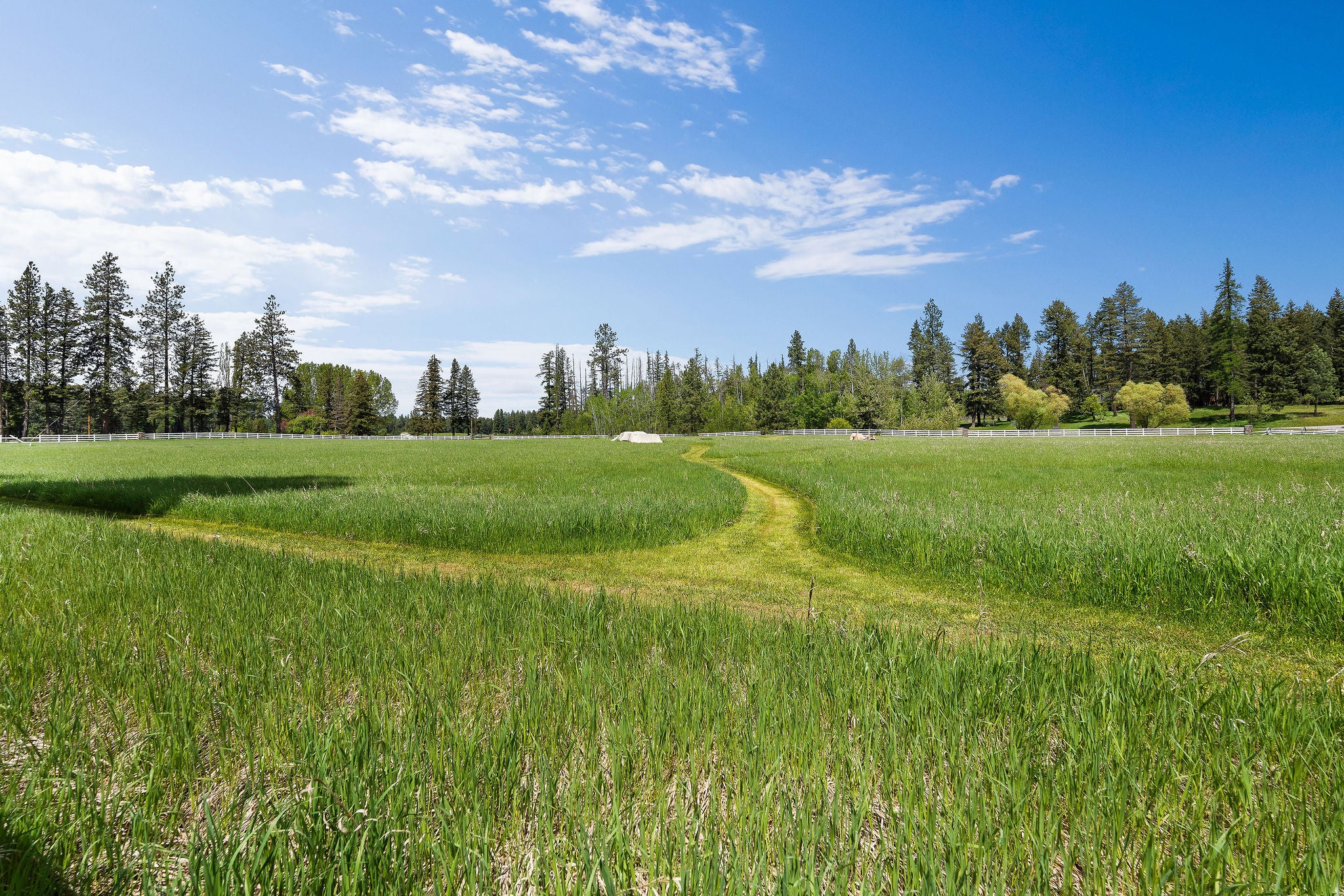 2347 Middle Road Columbia Falls, MT 59912 - Photo 128 of 166 Gallery Image 128