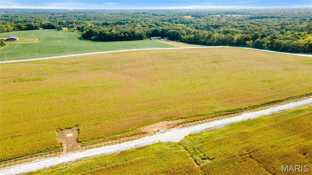 149 Otto Court Silex, MO 63377 - Photo 19 of 27