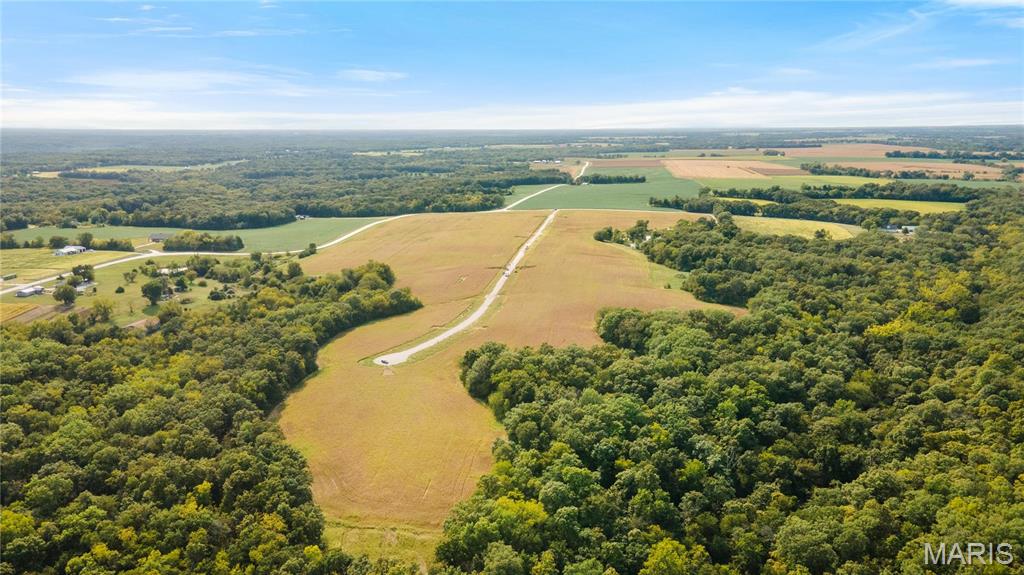 149 Otto Court Silex, MO 63377 - Photo 10 of 27