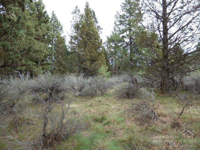 3202 McClellan Road Bend, OR 97702 - Photo 15 of 25 a view of a forest with trees in the background