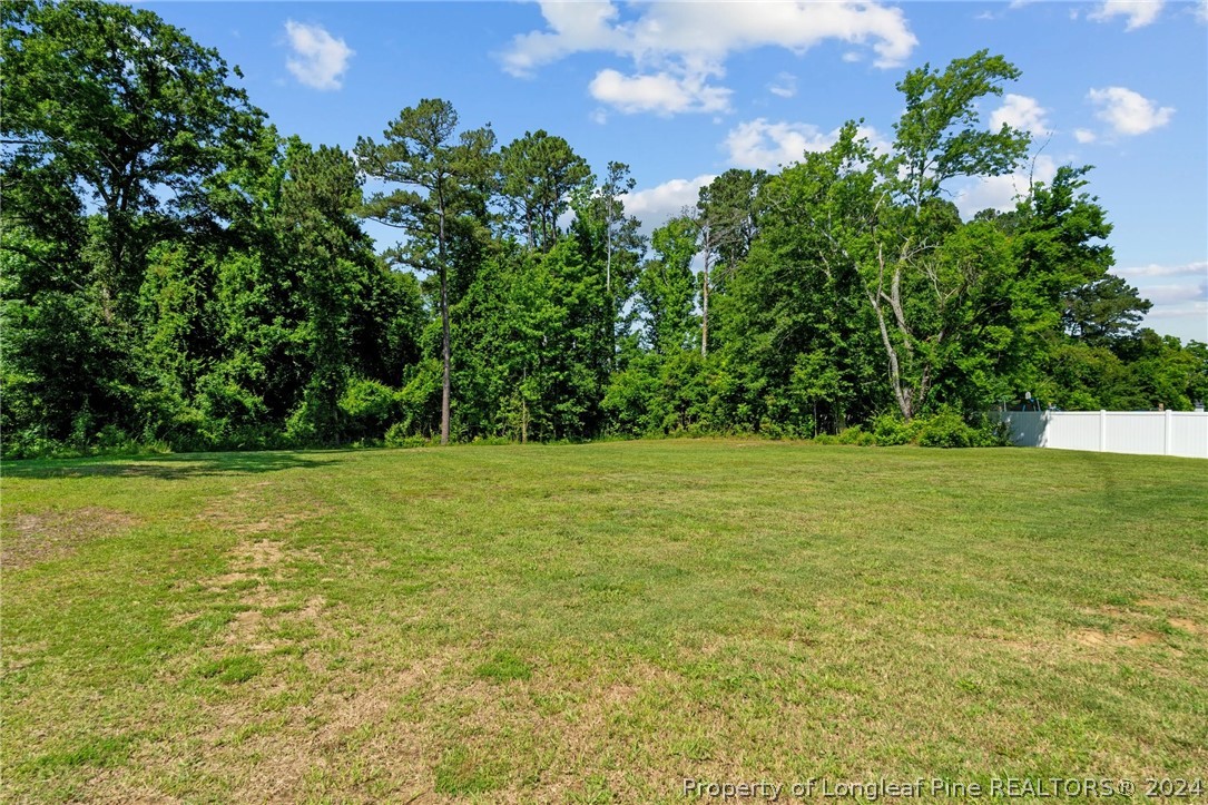 2632 Riddle Farm Road Fayetteville, NC 28306 - Photo 39 of 45 a view of yard with swimming pool