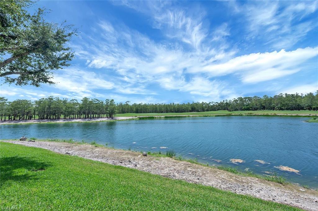 8600 Cedar Hammock Circle, Unit 1313 Naples, FL 34112 - Photo 46 of 48 a view of a lake