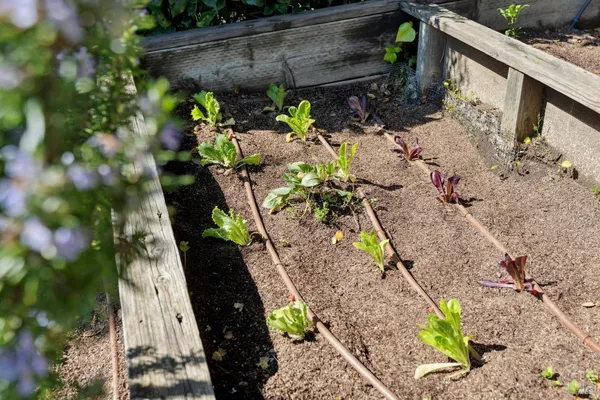 $2,750,000 | 119 Bretano Way, Greenbrae, CA 94904