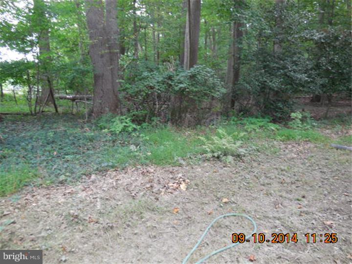816 Newhall Road Kennett Square, PA 19348 - Photo 22 of 23 Gallery Image 22
