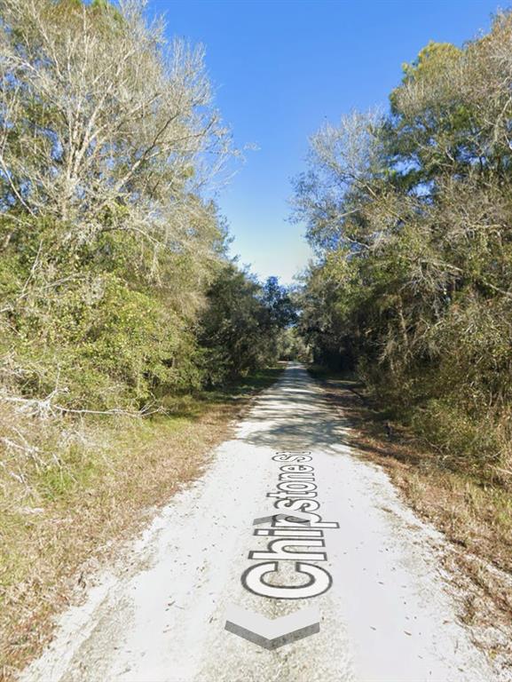 Chipstone Street Webster, FL 33597 - Photo 1 of 3