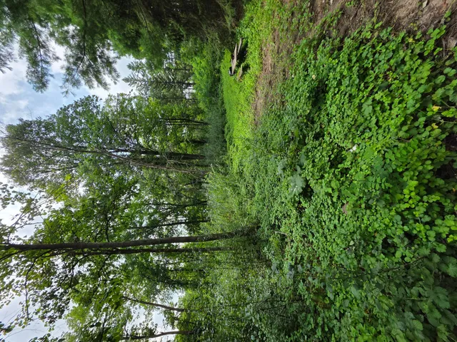 $260,000 | 14-xxx 14-xxx Dellwood Road North, Stillwater, MN 55082