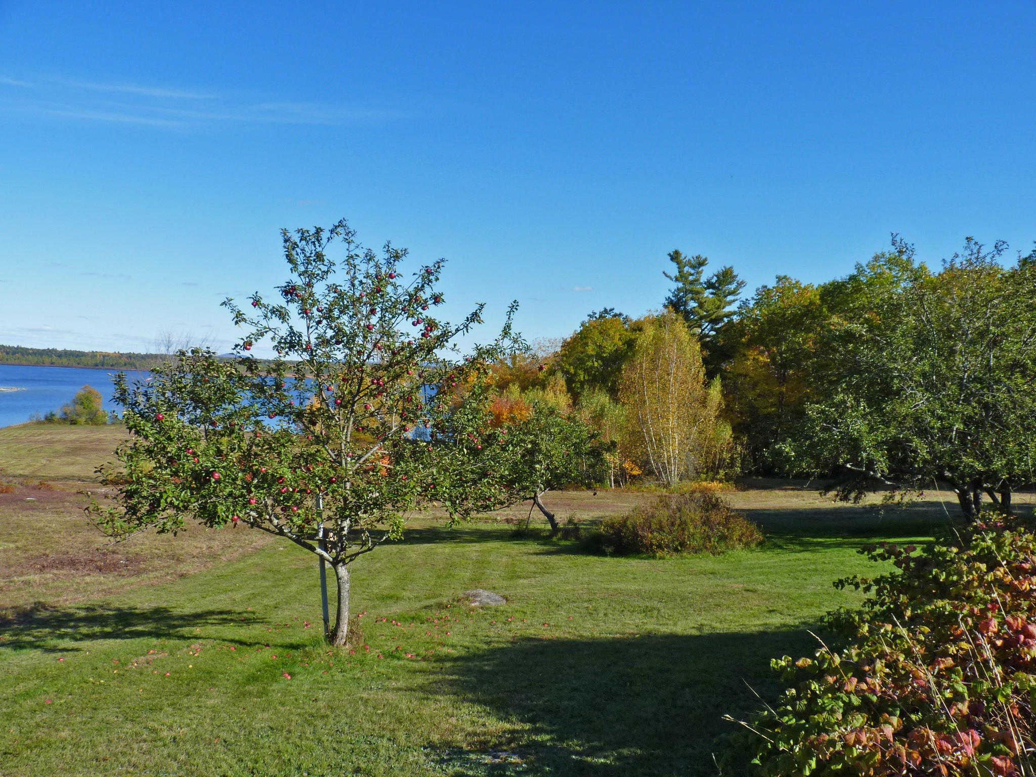 593 Mariaville Road Ellsworth, ME 04605 - Photo 21 of 52 4a