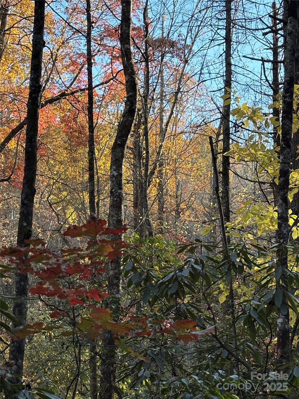 999 Old Spring Road Brevard, NC 28712 - Photo 13 of 15