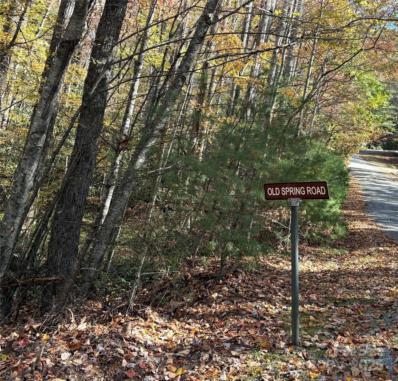 999 Old Spring Road Brevard, NC 28712 - Photo 3 of 15