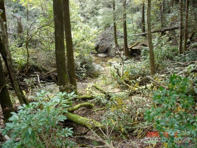 999 Old Spring Road Brevard, NC 28712 - Photo 8 of 15