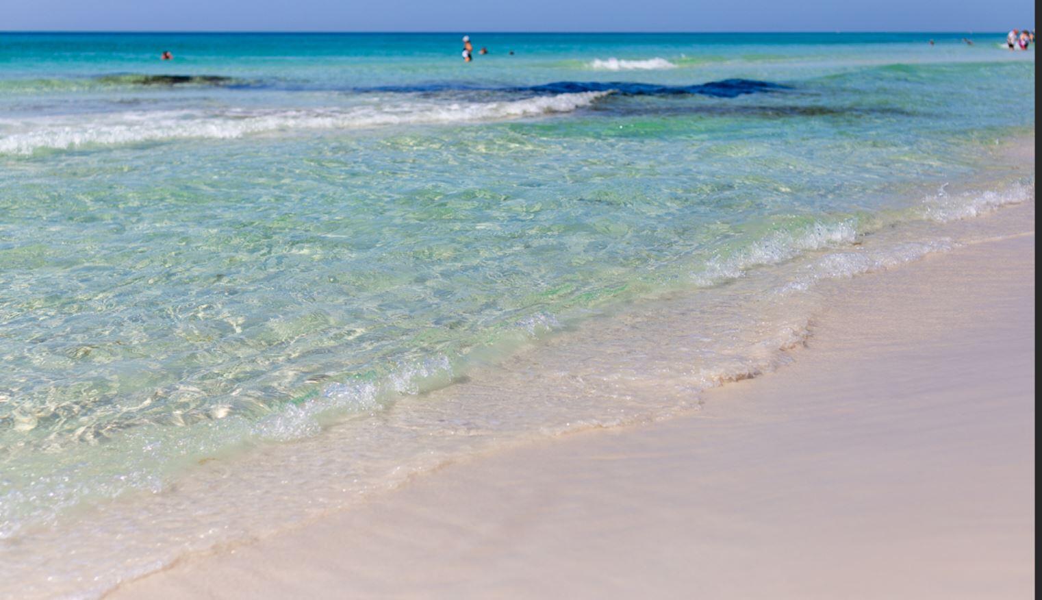 3125 Van Day Way Crestview, FL 32539 - Photo 20 of 24 a view of a dirt yard with a sink