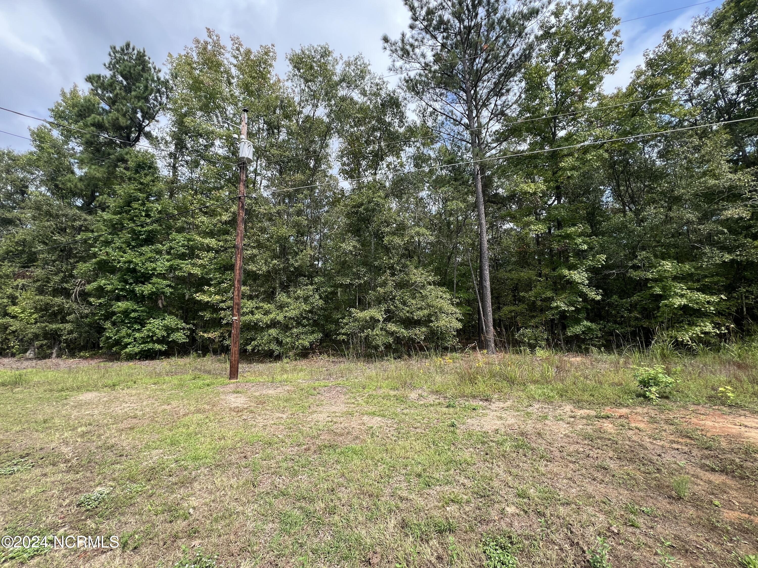 Tbd Bed Rock Road Rockingham, NC 28379 - Photo 2 of 5 IMG_6784