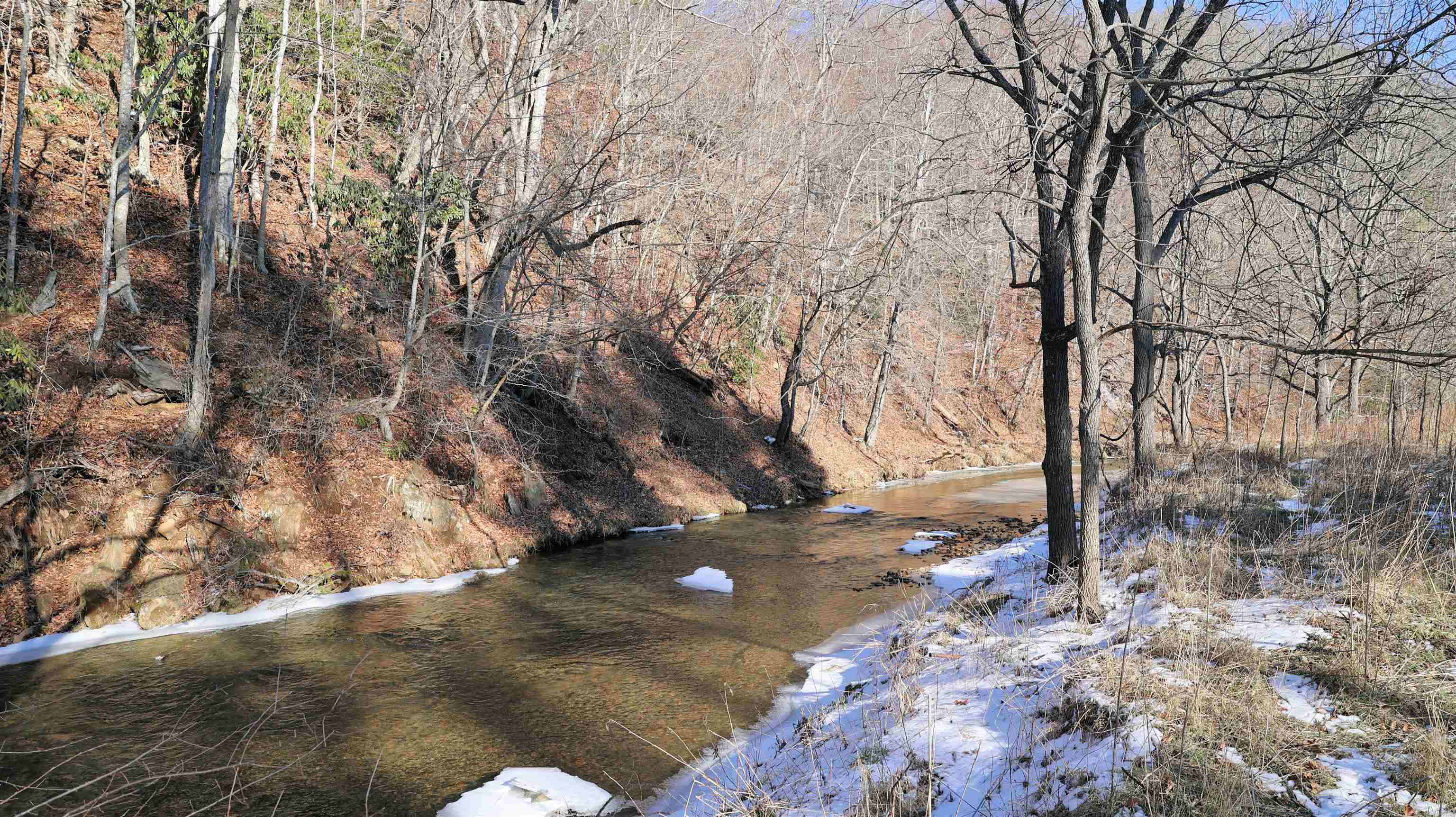 Tbd Webbs Mill Road North Floyd, VA 24091 - Photo 15 of 22 Gallery Image 15