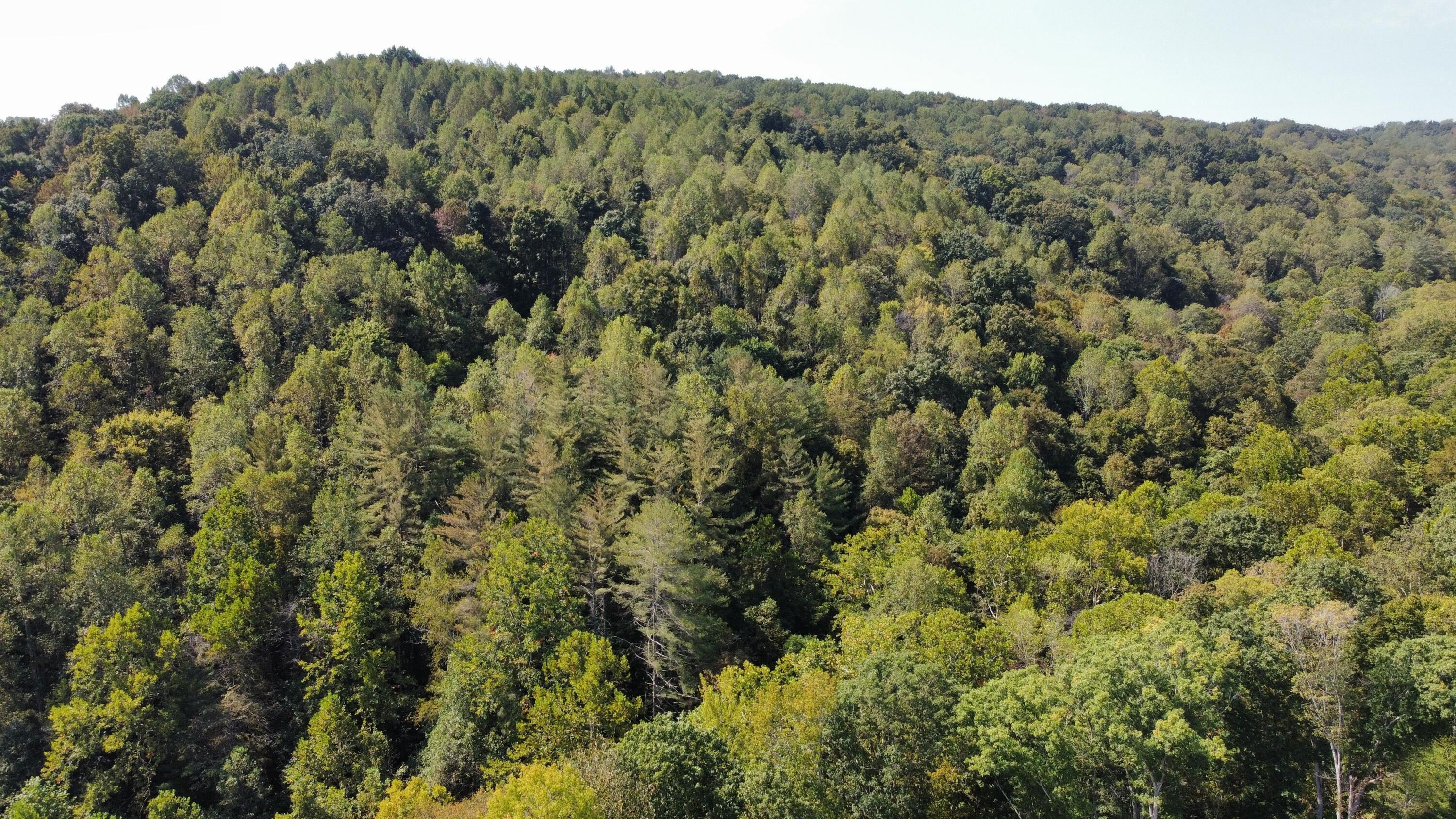 0 Beech Fork Road Peebles, OH 45660 - Photo 28 of 31 dji_export_1757780316182