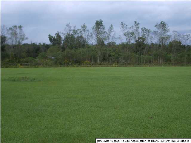 40120 Germany Road Gonzales, LA 70737 - Photo 4 of 12 Gallery Image 4