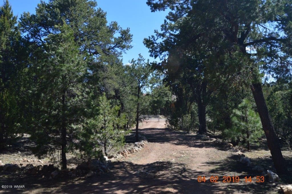 2256 Sunrise Road Overgaard, AZ 85933 - Photo 33 of 37 Gallery Image 33