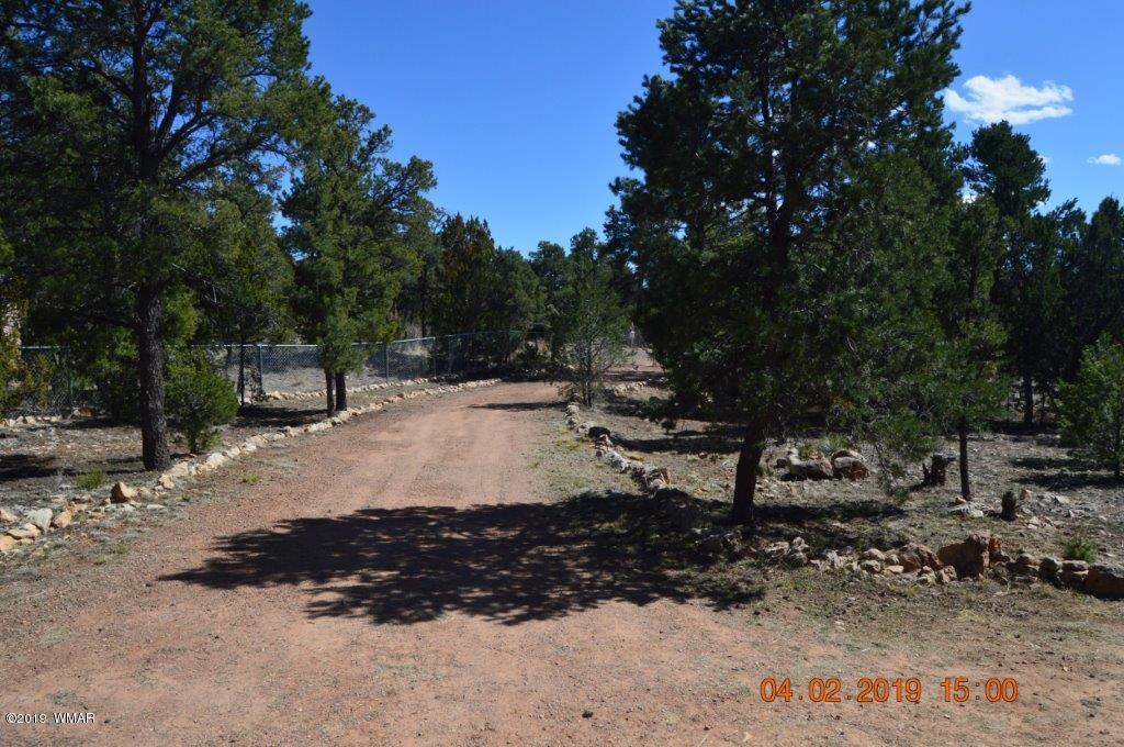 2256 Sunrise Road Overgaard, AZ 85933 - Photo 34 of 37 Gallery Image 34