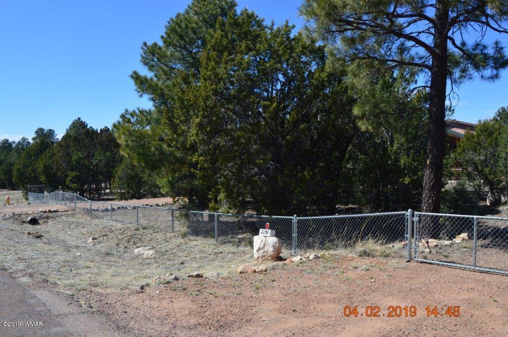 2256 Sunrise Road Overgaard, AZ 85933 - Photo 36 of 37 Gallery Image 36
