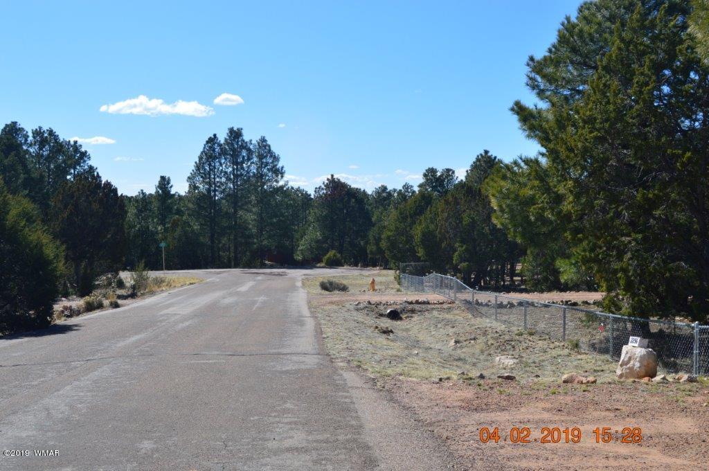 2256 Sunrise Road Overgaard, AZ 85933 - Photo 37 of 37 Gallery Image 37