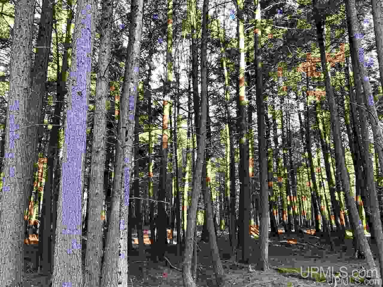 4688 12th Road Escanaba, MI 49829 - Photo 34 of 42