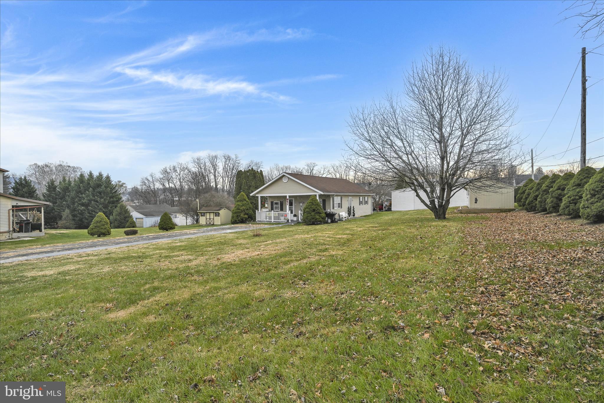 1428 Meade Street Reading, PA 19607 - Photo 9 of 29 a view of a big yard with large trees