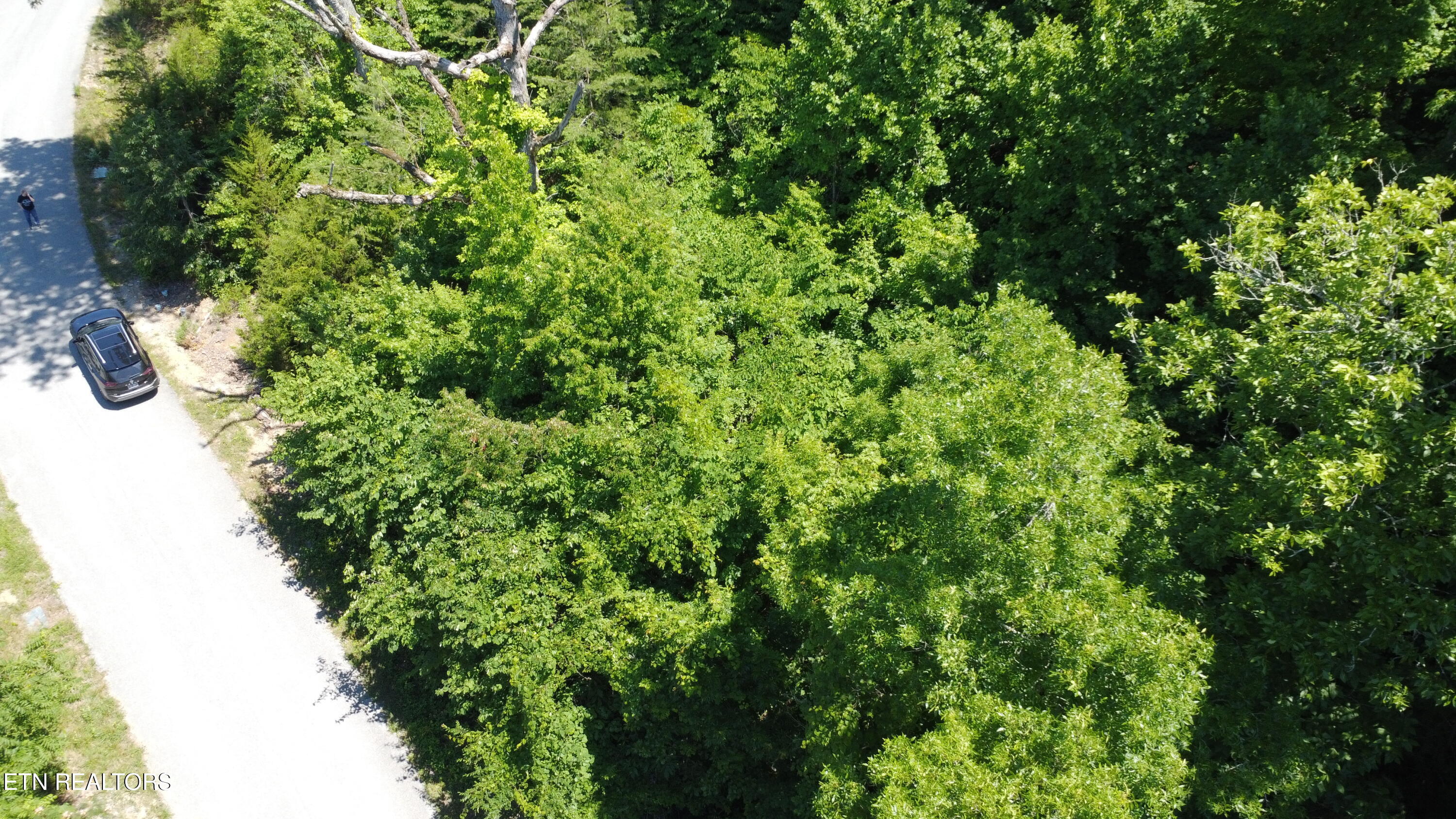 Larayne Hollow Road, Unit 924 Sharps Chapel, TN 37866 - Photo 3 of 21 Over Head of Lot