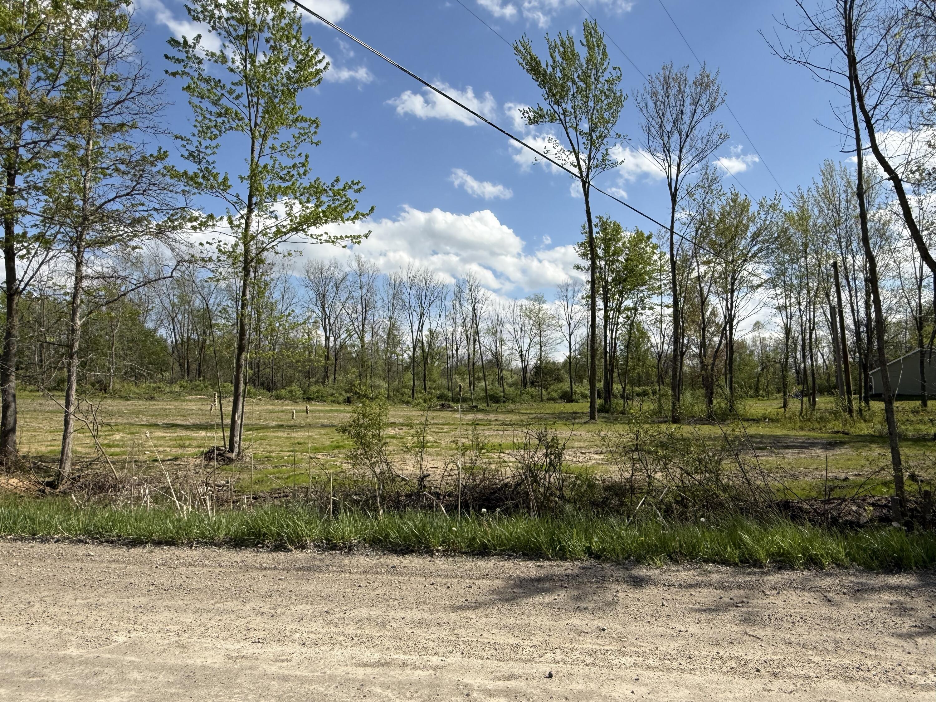 Keith Road Hillsdale, MI 49242 - Photo 2 of 3 IMG_3139