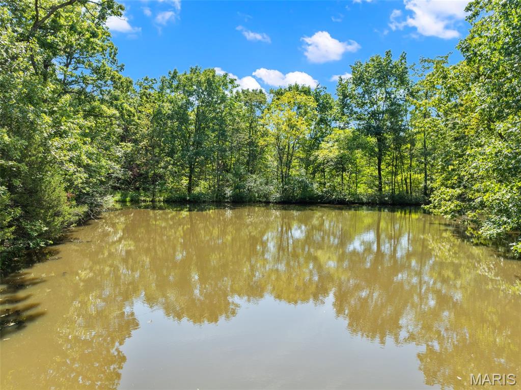 2267 Lewis Lane Villa Ridge, MO 63089 - Photo 69 of 75 Gallery Image 69