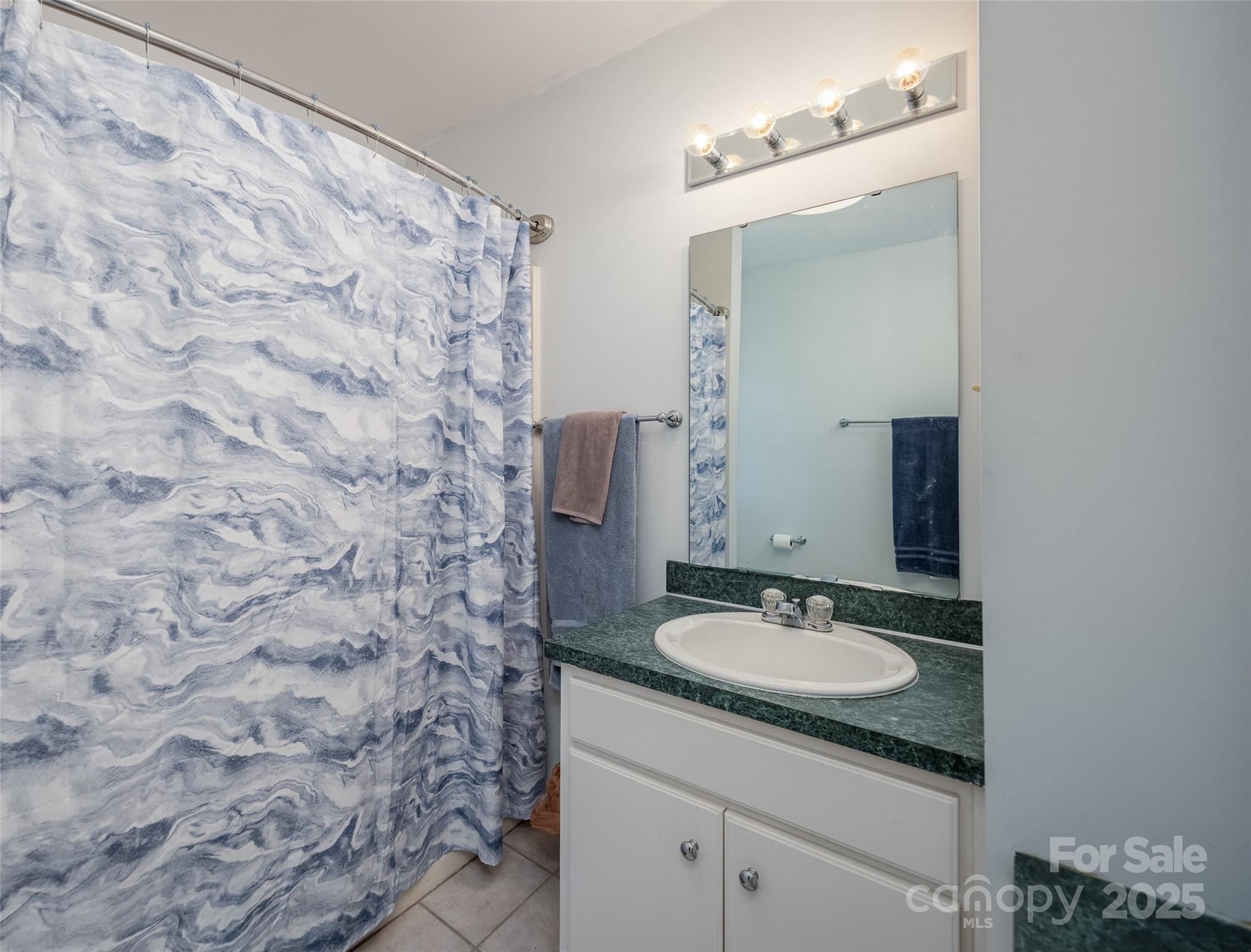 1805 Lake Shore Road Camden, SC 29020 - Photo 28 of 48 a bathroom with a granite countertop sink and a mirror