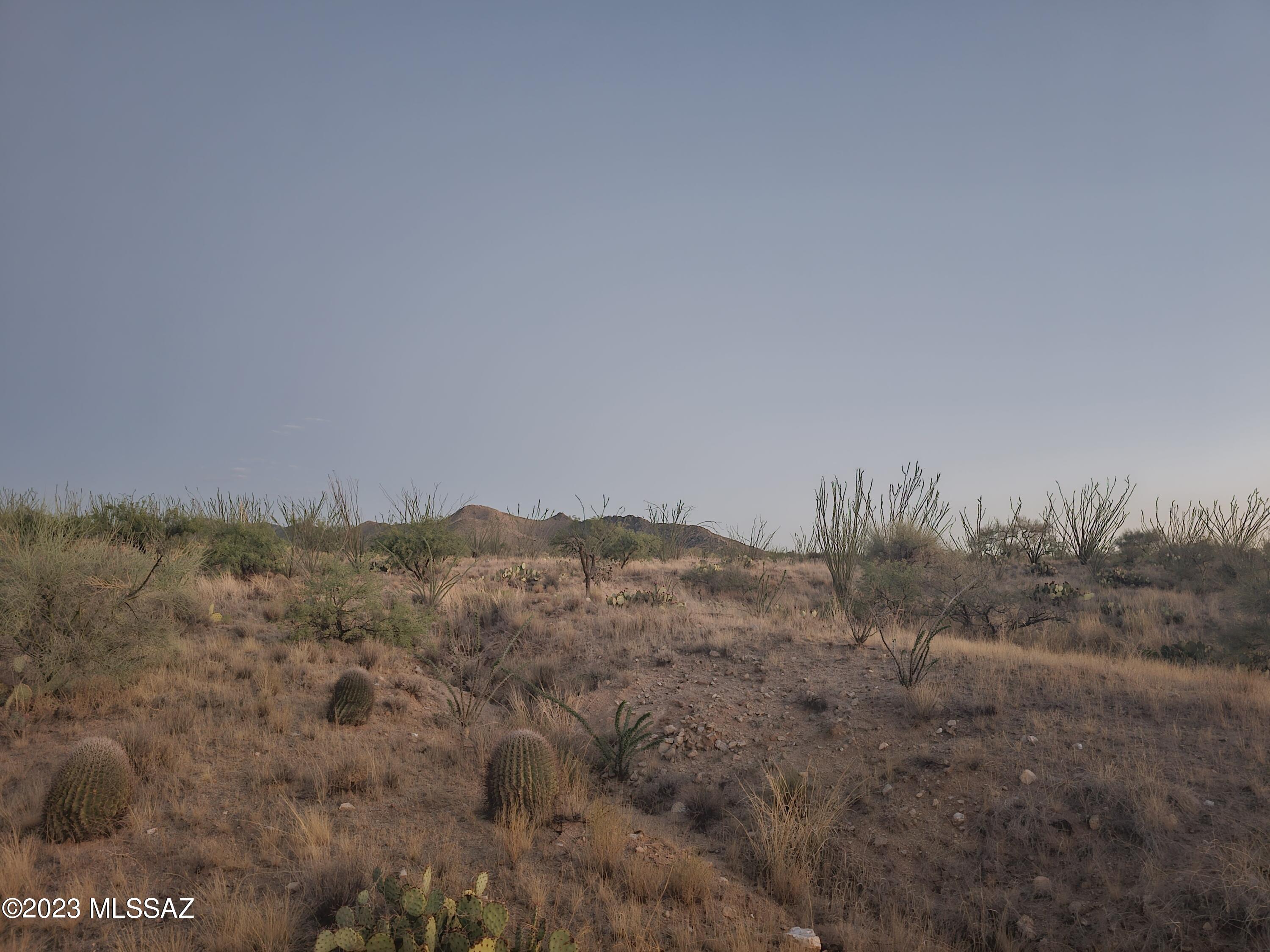 13900 Rundell Road, Unit 279 Tucson, AZ 85736 - Photo 1 of 6