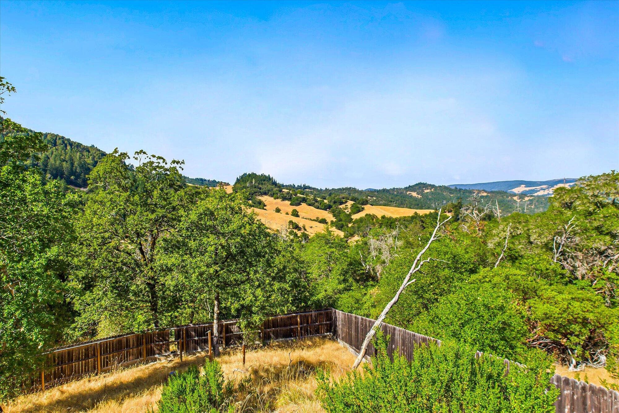 1991 Steelhead Road Alderpoint, CA 95511 - Photo 43 of 66 Snide Front Yard