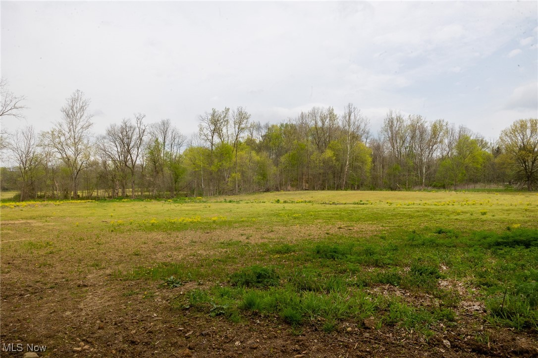 511 State Route Ashland, OH 44805 - Photo 5 of 42 View of landscape featuring a rural view and a forest view