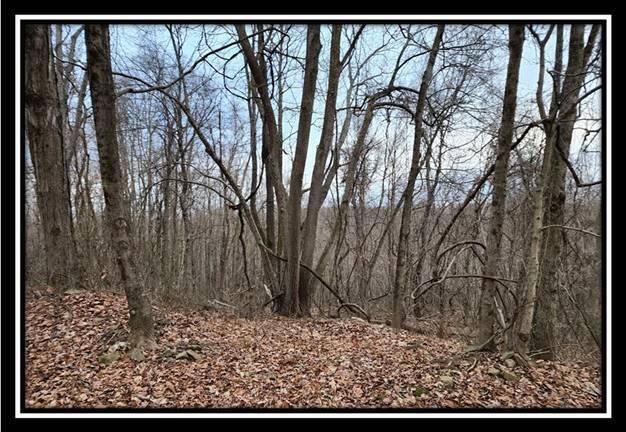 0 Black Run Road, Unit TRACT 8) Chillicothe, OH 45601 - Photo 36 of 47 image038