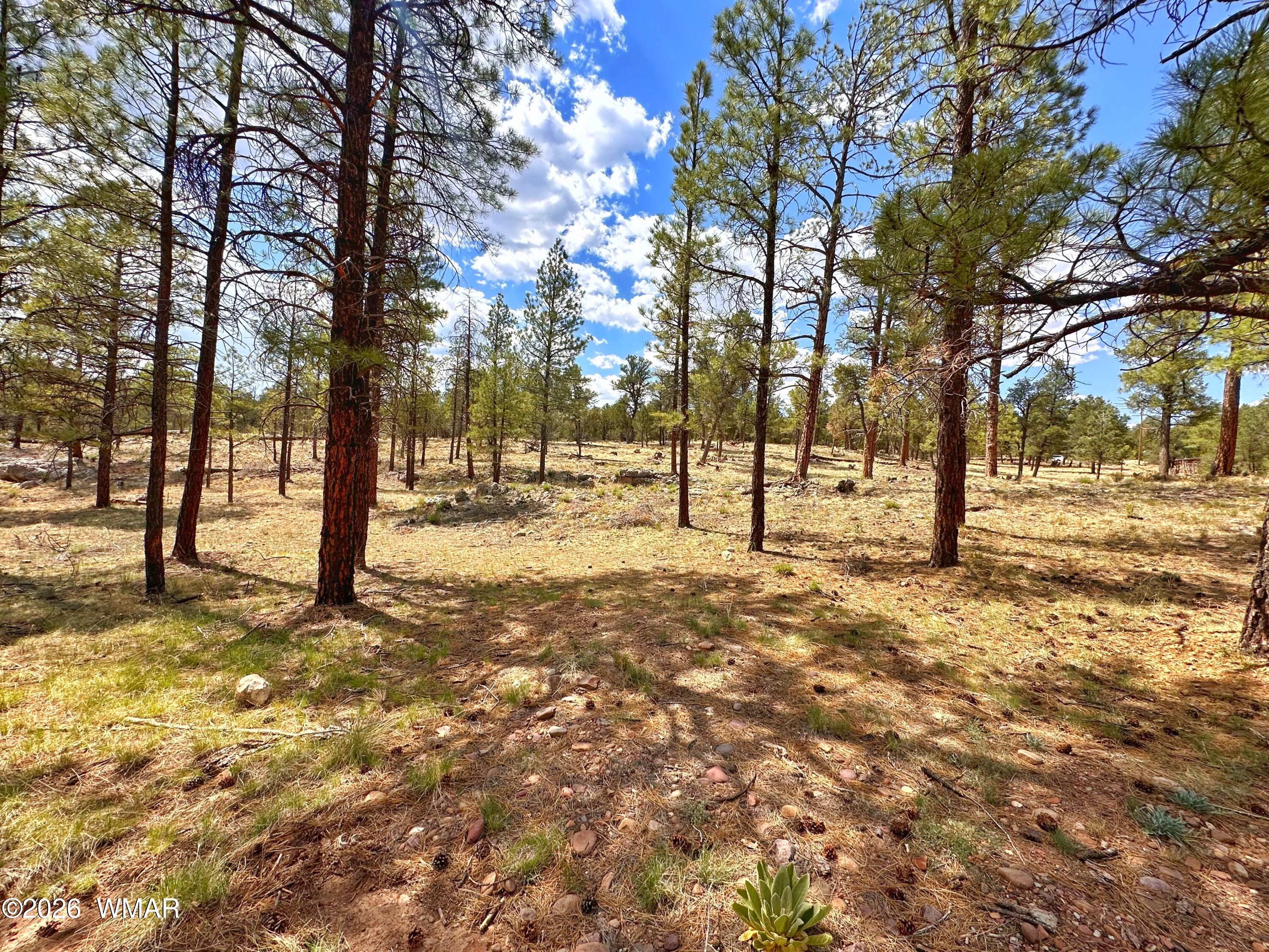 007 H Chevelon Road Heber, AZ 85928 - Photo 1 of 12