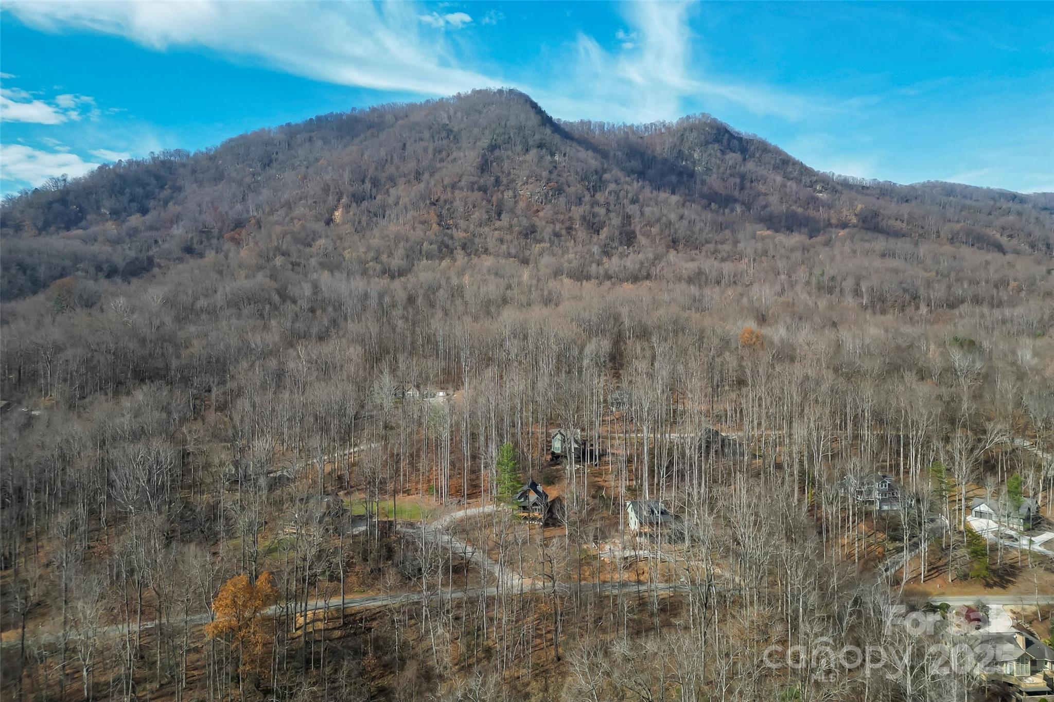 457 Blue Ridge Drive North Marion, NC 28752 - Photo 31 of 34 a view of a dry yard
