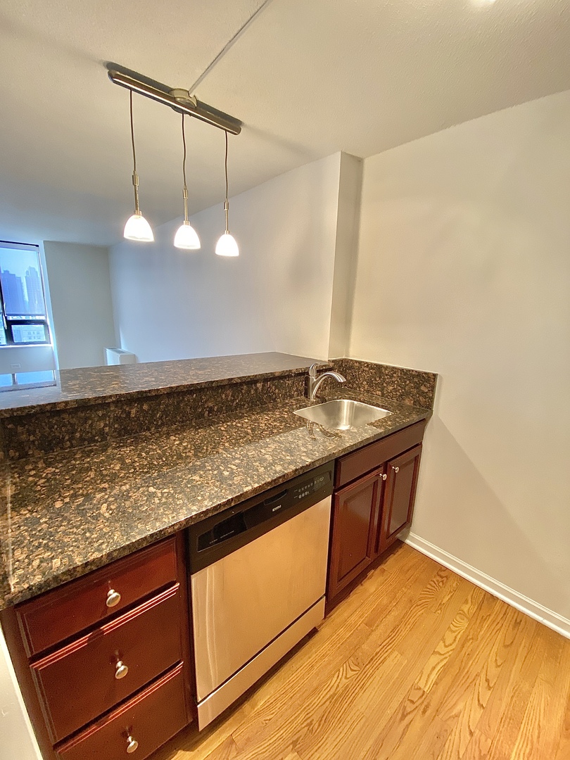 2 East Oak Street, Unit 1906 Chicago, IL 60611 - Photo 10 of 10