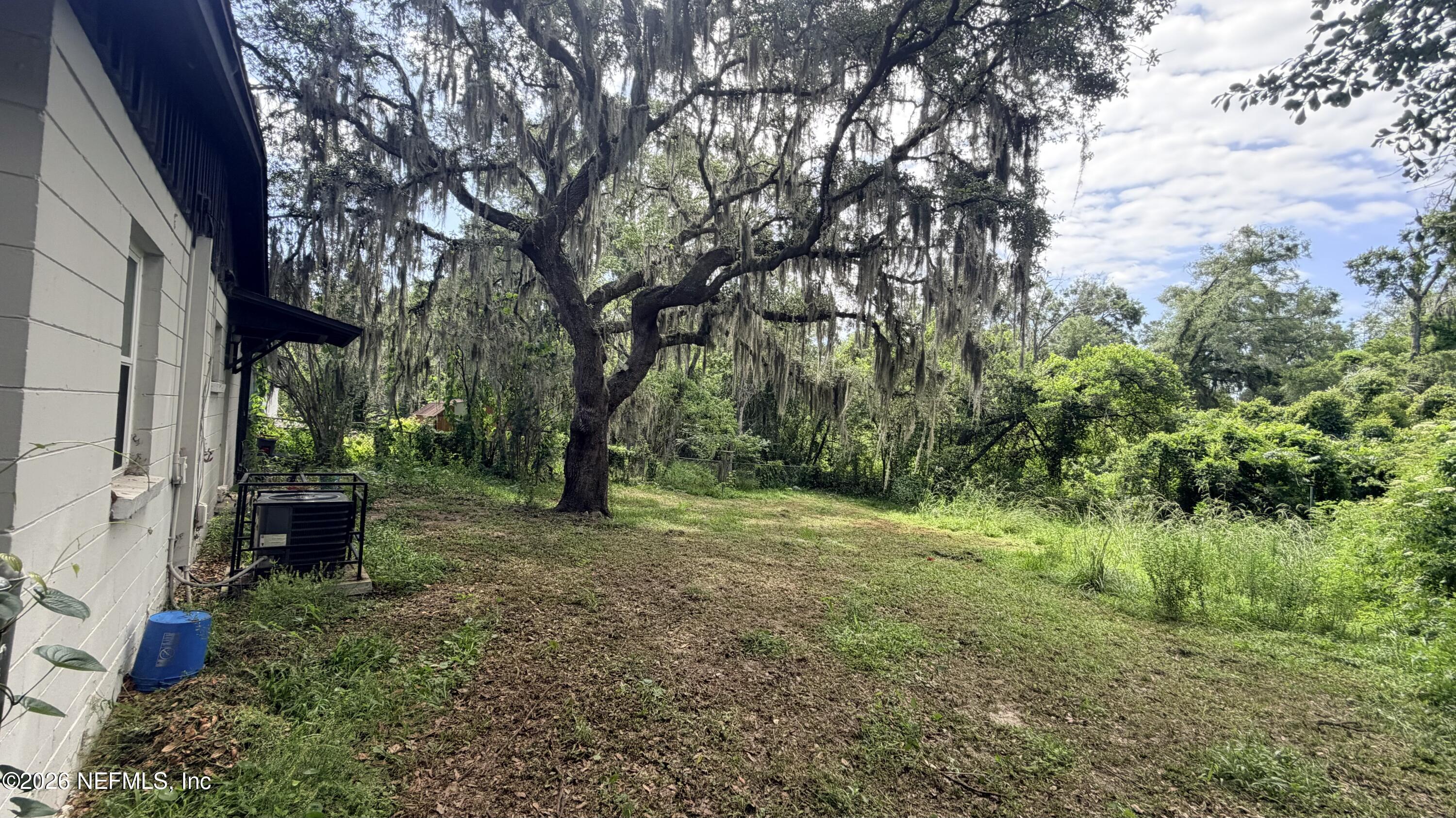 5812 Blackthorn Road Jacksonville, FL 32244 - Photo 10 of 11 Backyard