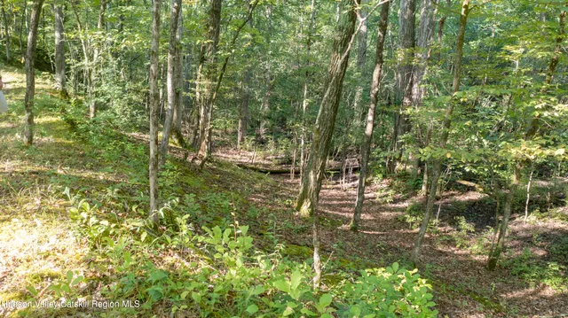 a view of outdoor space and garden