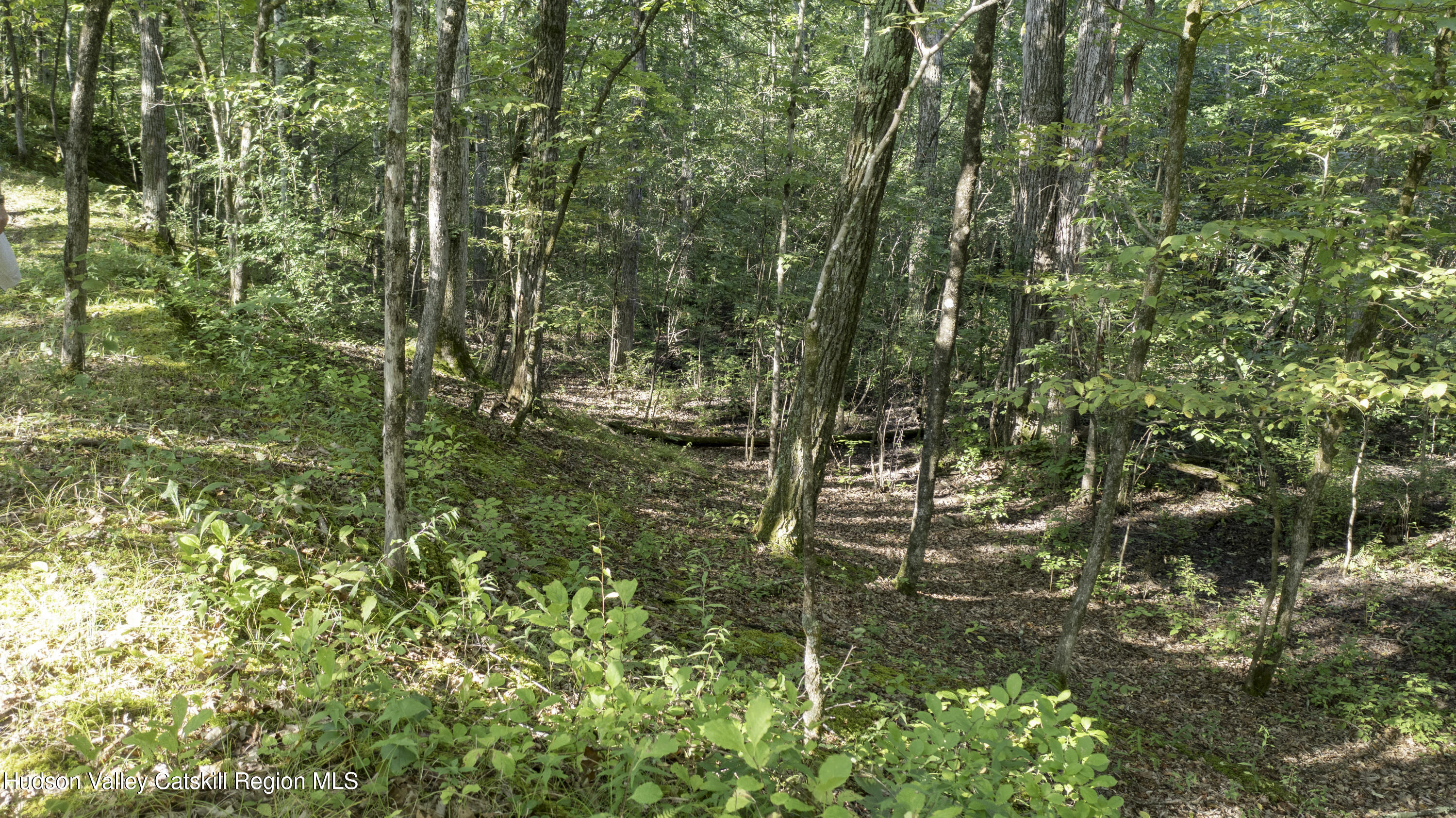161 Roundtop Road Germantown, NY 12526 - Photo 6 of 9 a view of outdoor space and garden