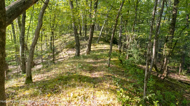 a view of residential area with trees