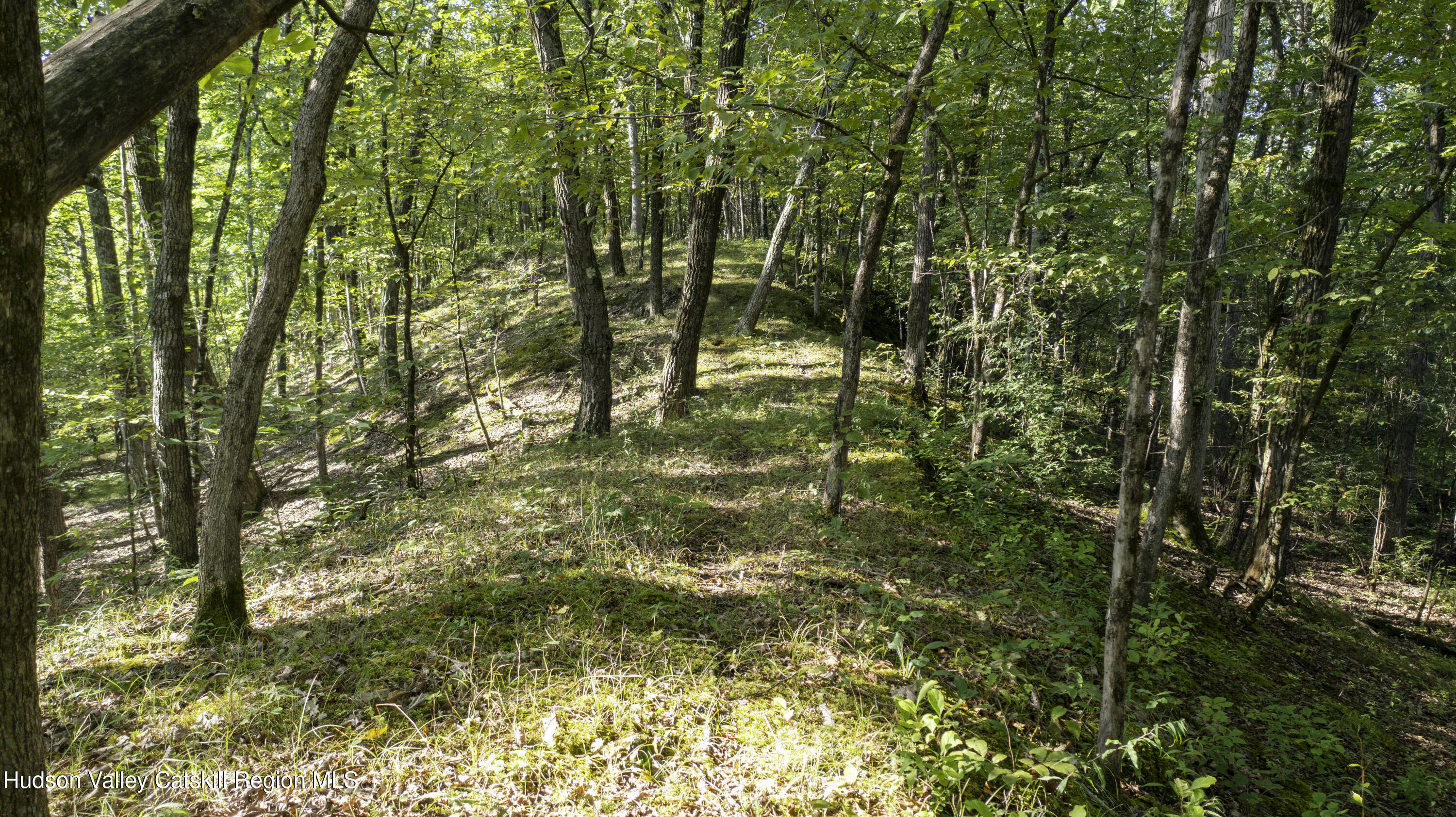161 Roundtop Road Germantown, NY 12526 - Photo 7 of 9 a view of residential area with trees
