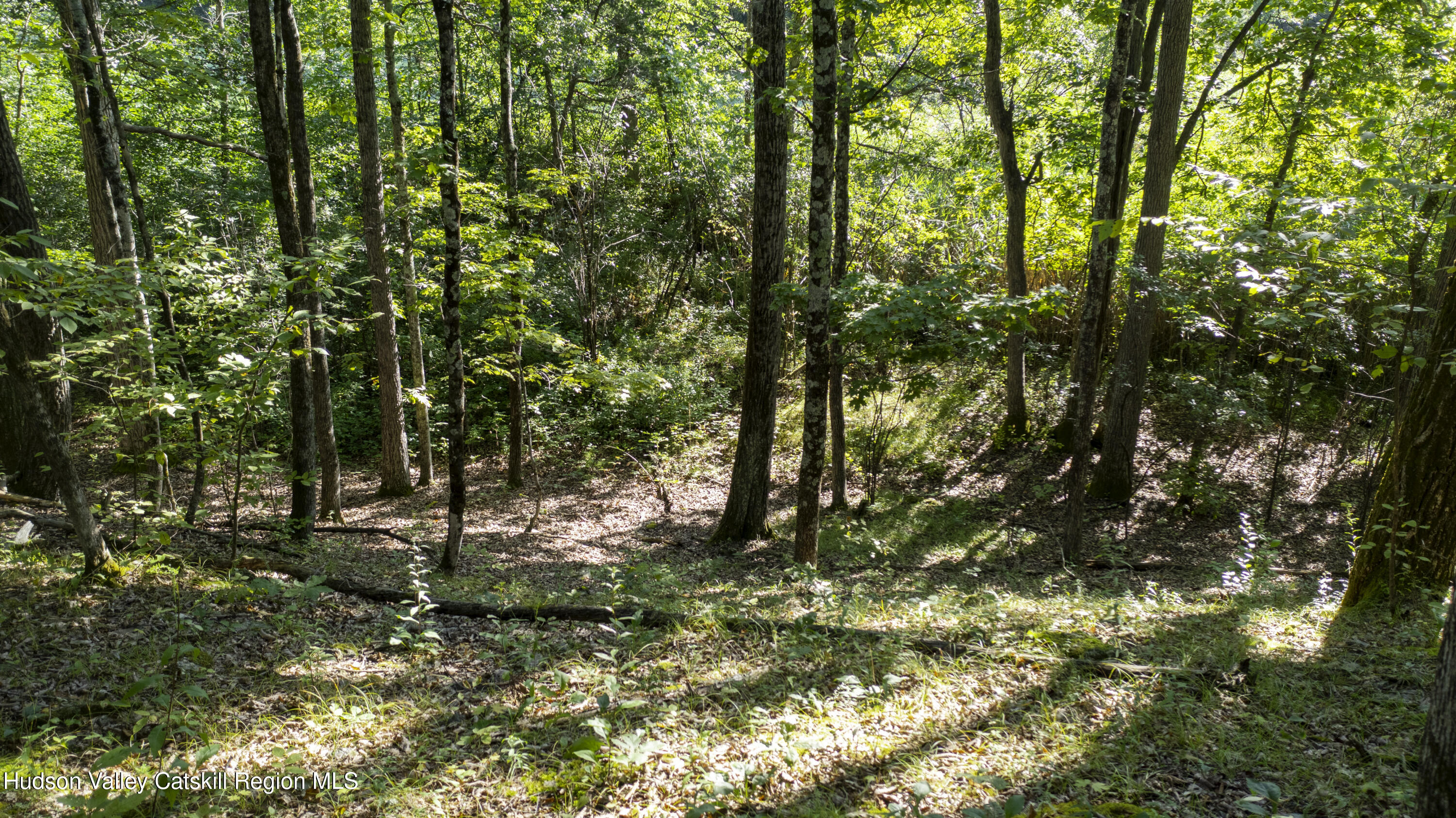 161 Roundtop Road Germantown, NY 12526 - Photo 9 of 9 a backyard of a house with lots of green space