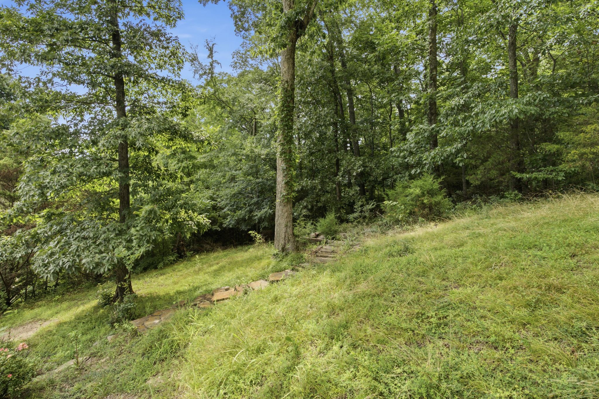 107 High Ridge Trail Goodlettsville, TN 37072 - Photo 44 of 44 Gallery Image 44