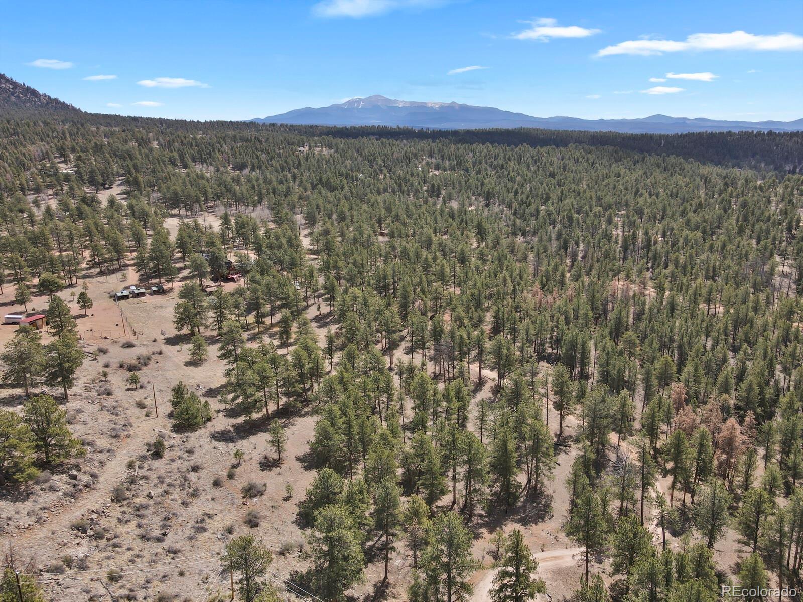 881 Trail Creek Road Lake George, CO 80827 - Photo 39 of 46
