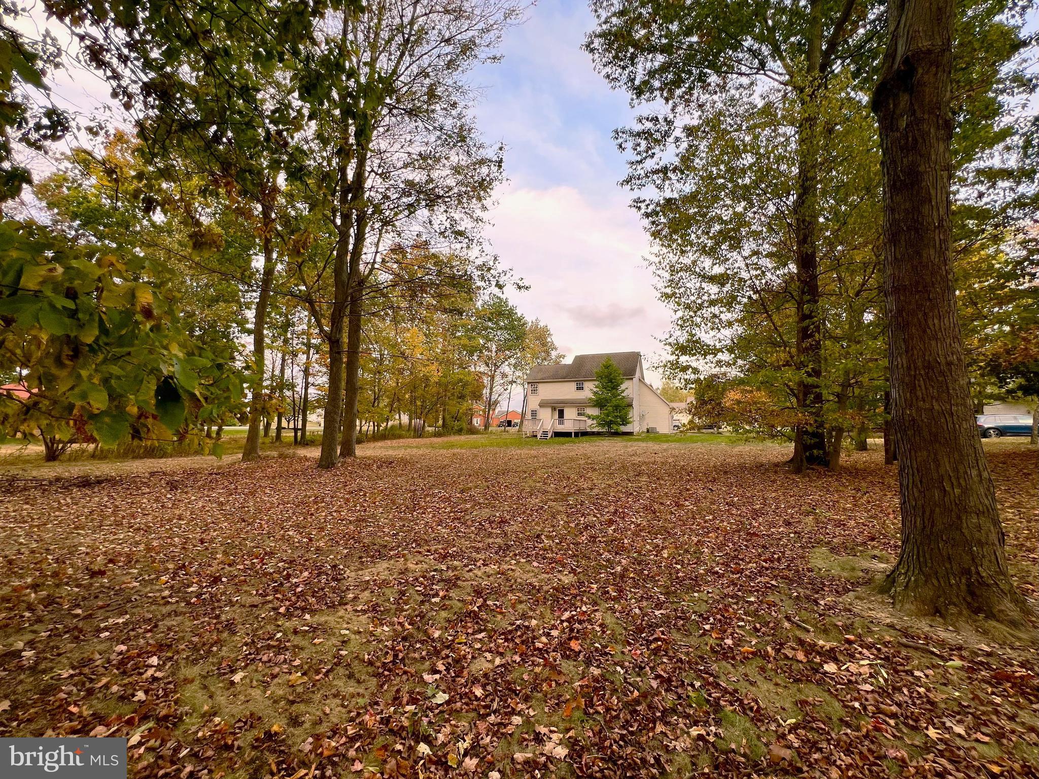 179 Sylvan Heights Road Du Bois, PA 15801 - Photo 38 of 40 a view of outdoor space with trees