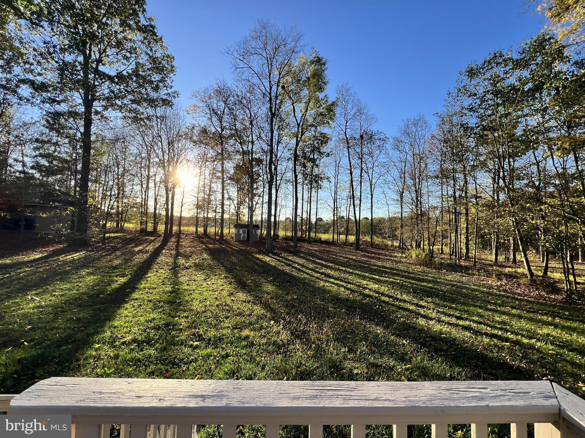 179 Sylvan Heights Road Du Bois, PA 15801 - Photo 40 of 40 a view of a yard with large trees